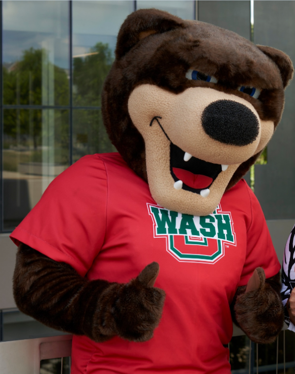 Bear mascot costume