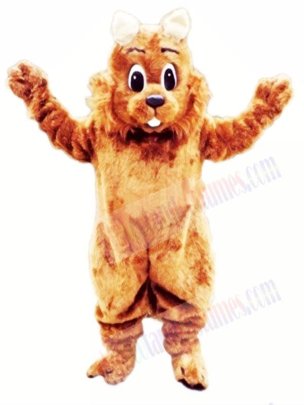Top Quality Squirrel Mascot Costumes 