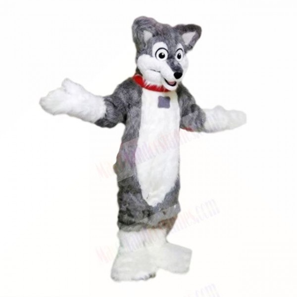 Grey Lightweight Husky Dog Mascot Costumes School