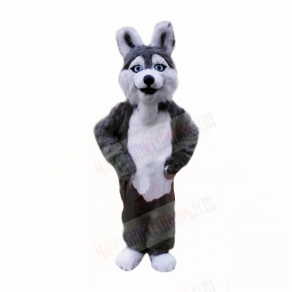Smiling Grey Plush Husky Dog Mascot Costumes School